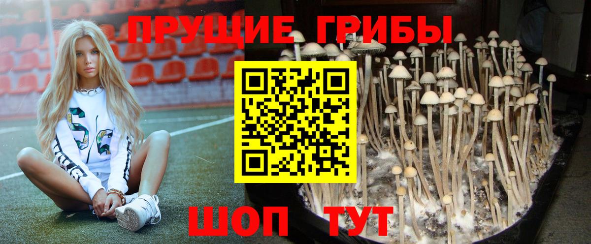 Галлюциногенные грибы GOLDEN TEACHER  Вход с VPN  Губкин 